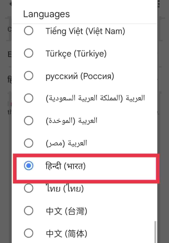 Google Assistant talk in Hindi